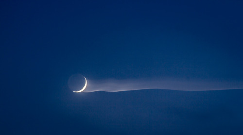 barretoart:Experiemental photography Painting with the light of the moon.