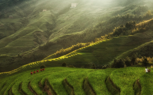 nubbsgalore:  photos by max witjes and sergey kuznetsov of the ping'an rice terrace in longshen, china (see also: more rice fields around the world)