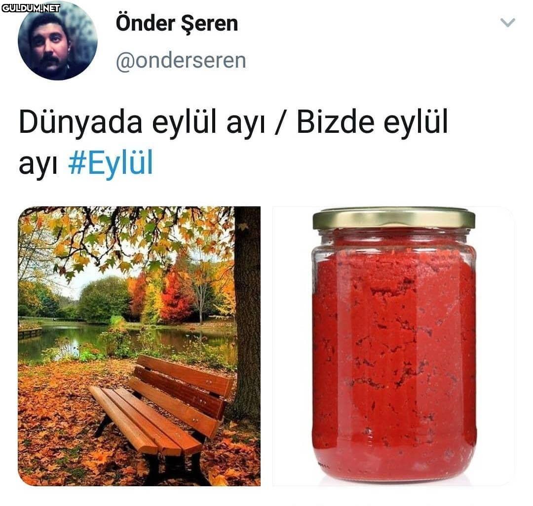 Önder Şeren @onderseren...