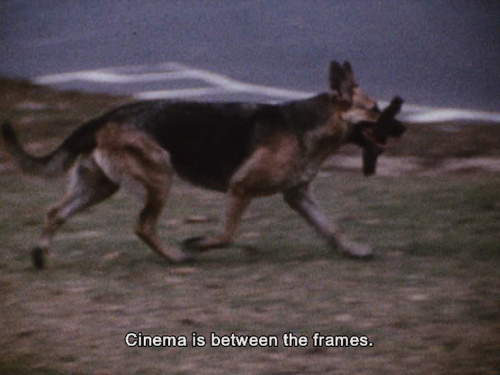 thenarrowsilence:Diaries Notes and Sketches, Walden, 1969, Directed by Jonas Mekas