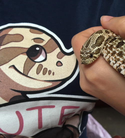 Pretzel wasn’t sure what to make of his T-shirt likeness to begin with, but he came around in 