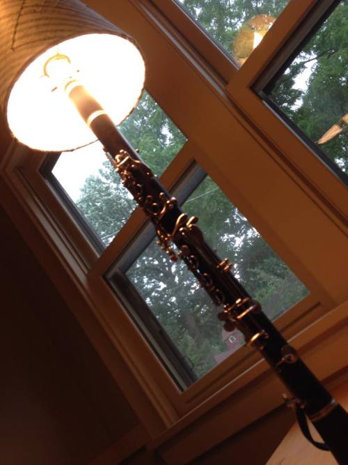 reedswithfashion:To answer all questions:1. Yes, I made this.2. Yes, the clarinet was broken already