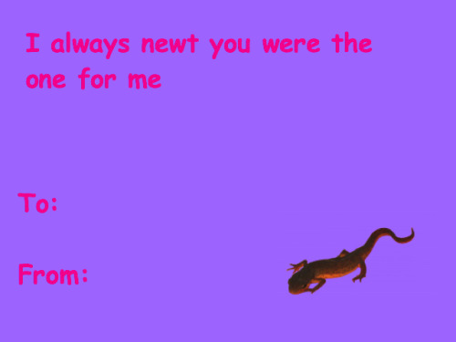 colormebowie: newts-in-hats:  It’s that time of year again….  Nice 