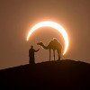 detailedart:Total (nearly) solar eclipses adult photos