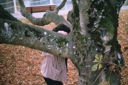 erynlou:  Emma attempting to climb a tree