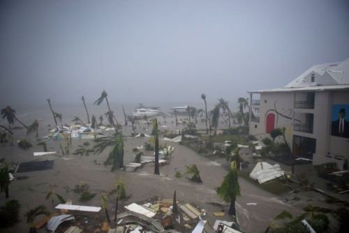  One of the most powerful Atlantic storms on record, the rare Category 5 Hurricane Irma cut a swath 