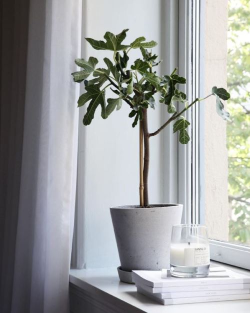 silver-blonde:via  elisabeth_heier  