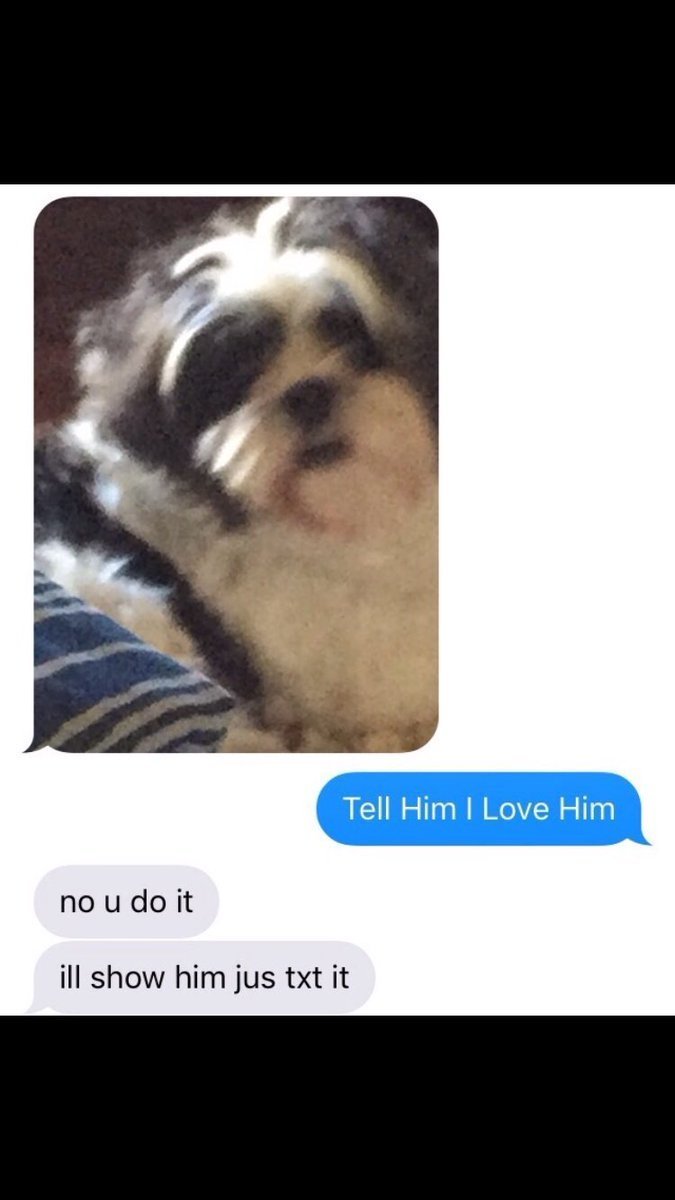 babyanimalgifs:baby animals blog