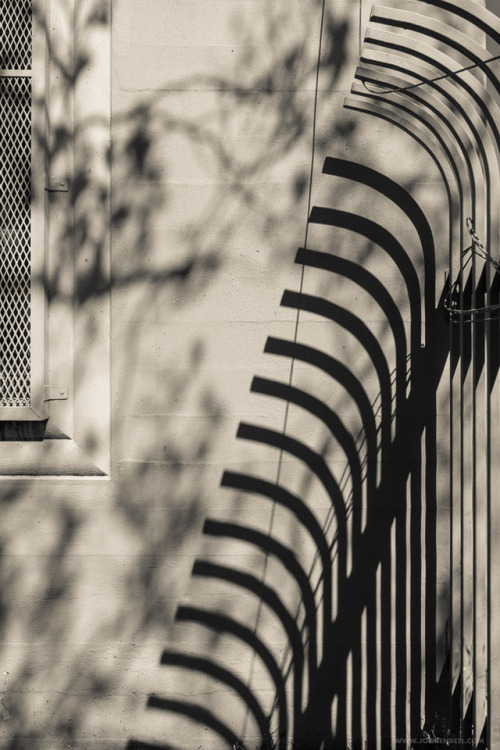 wallandground:Day 283 — Circumscribed [wallscape]