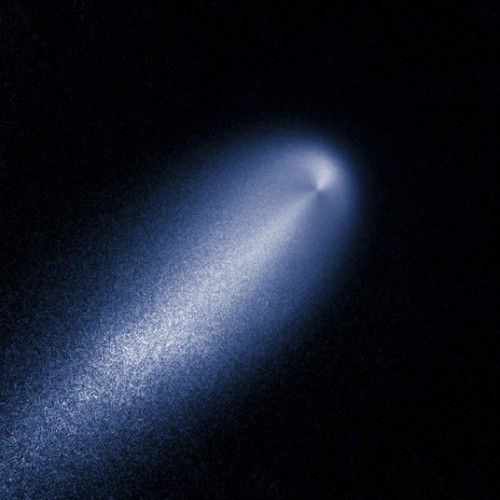 FLAIR FLIGHT   A Contrast-enhanced Image Produced From The Hubble Images Of Comet ISON Taken April