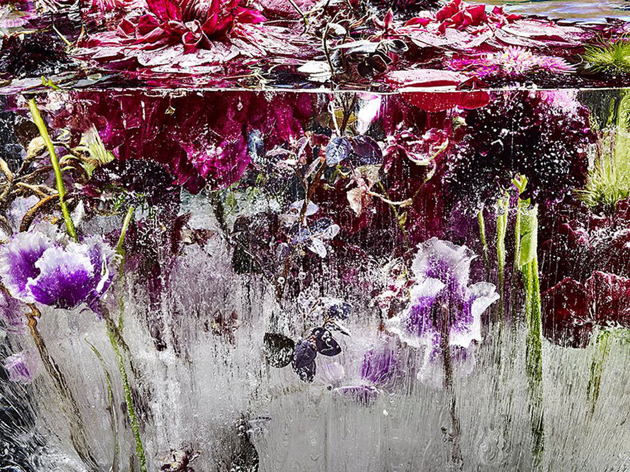 culturenlifestyle:  Frozen Flowers in Ice Resemble Exquisite Watercolor Paintings