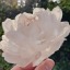 1-genisis-1-blog