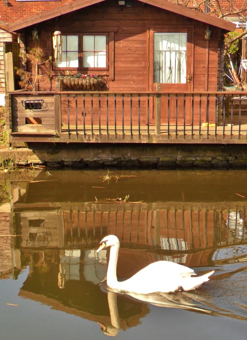 vwcampervan-aldridge: Summer house on the canal, Brownhills, Walsall, England All Original Photograp