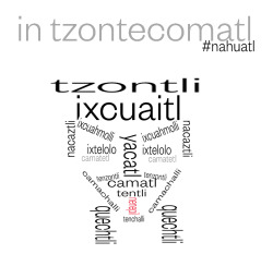 comoespinademaguey:  Tzontecomatl | La cabeza  Tzontli.- peloIxcuaitl.- frenteIxcuahmolli.- cejaIxtelolo.- ojoNacaztli.- orejaYacatl.- narizCamatetl.- pómuloTenzontli.- bigoteCamatl.- bocaTentli.- labioNenepil.- lenguaCamachalli.- mandíbulaTenchalli.-