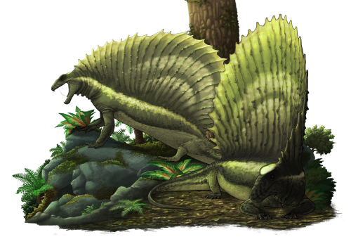 i-draws-dinosaurs:Gordodon kraineriThis is the first in a bunch of palaeoartworks I’m producing for 