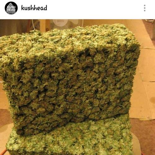 Love bud? Check this page @kushhead #cannabis #420 #maryjane #medicalmarijuana #kush #stonerkitchen 