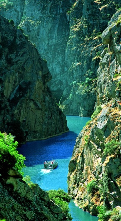 omgshowmetheworld:   River in northern Portugal   