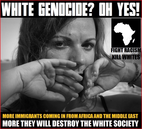 mastertech9307-blog:  White genocide? You brought this upon your self , White folks