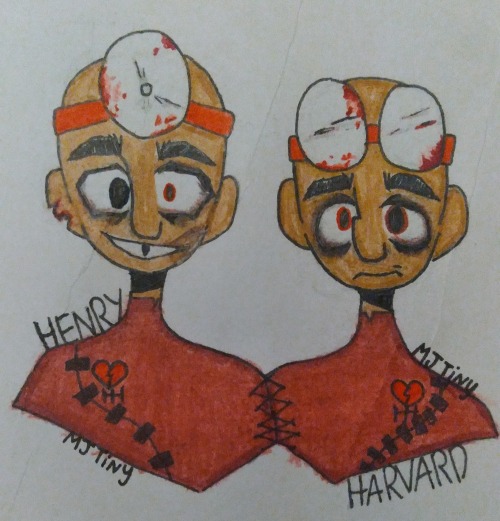 Henry + Harvard