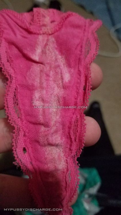 Follower submission of his gf and sister dirty panties with dry pussy discharge on them