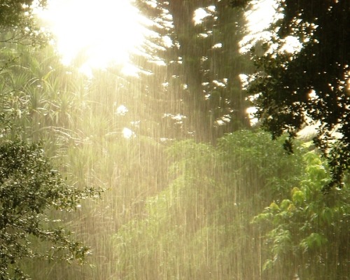 Sex sixpenceee:A sunshower or sun shower is a pictures