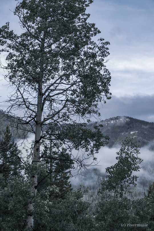 Across the Clark’s Fork Valley: (c) riverwindphotography, July, 2019