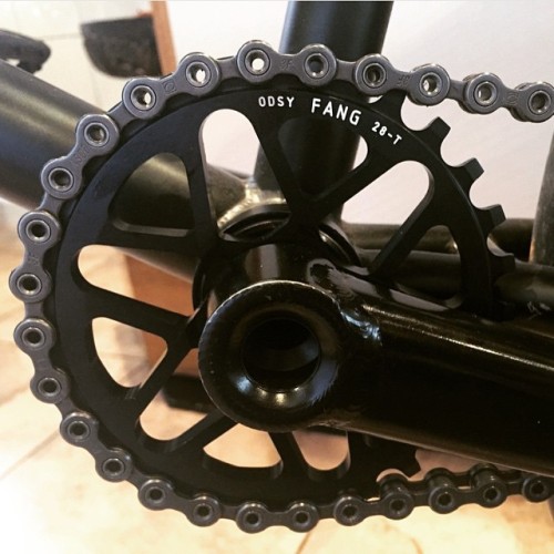 odysseybmx:  Dialed drivetrain courtesy of @sebastianspree. Hollow Key Chain, FANG sprocket and Thun