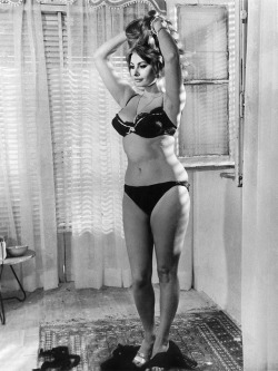 lookatmelittleone:  “I’d much rather eat pasta and drink wine than be a size 0.”   ~Sophia Loren, 1965 