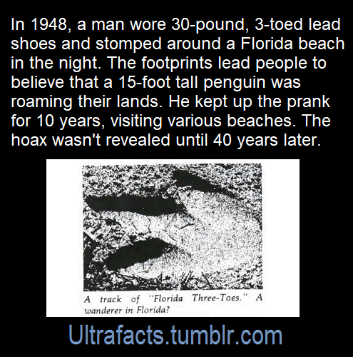 gallusrostromegalus:  maximum-marrs:  jayalaw:   ultrafacts:   Source: [x] Click