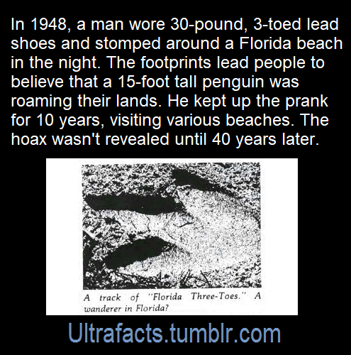 gallusrostromegalus:maximum-marrs:jayalaw:ultrafacts:Source: [x]Click HERE for more facts!Florida. O