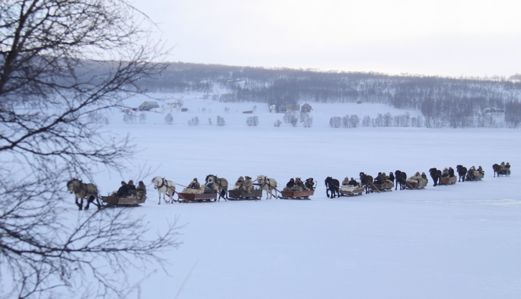 photosofnorwaycom:  Horses with sledges on their way to the Røros winter market,