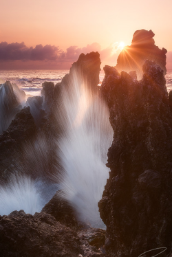 sundxwn:  Splashgasm by Ted Gore 