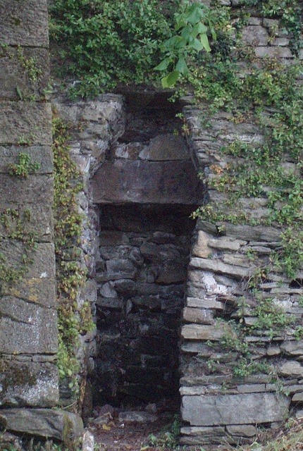 sixpenceee:  Coffin shaped hole for pauper burials in Youghal, Ireland. An empty