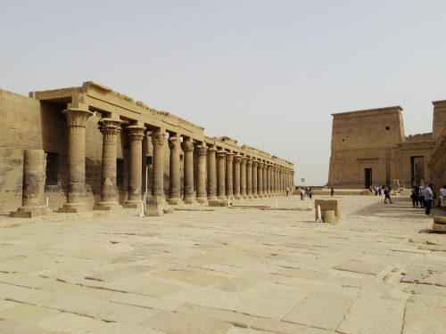 My trip in Egypt -Philae temple, Abu simbil two temples- Aswanスケールがデカすぎる。アブシンベル神殿は内部撮影禁止です。ラムセス２世が建て