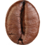 cofvefebeanus