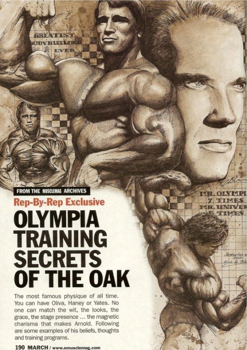 steadymirin:  always reblog arnold.