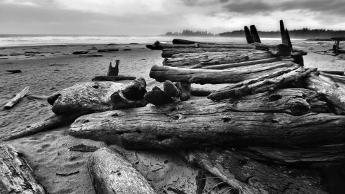 Driftwood&hellip; Long Beach, Tofino - Another image from the archives of West Coast adventures 