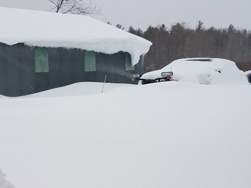The last nor'easter dumped another foot or so on us.  That’s 3 storms and over 63" in the past 3 weeks @sassygapeach79.  Are ya sure you don’t want to trade places?