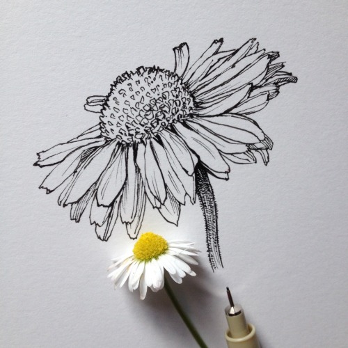 http://photo-graphando.tumblr.com/post/116983881389