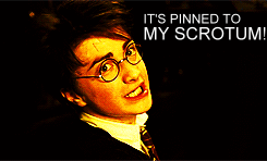 serpensortia-kedavra:givebirthtothesound:fandoms-are-my-one-true-love:All my favorite Harry Potter b