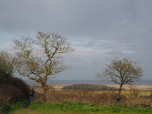 Salthouse, North NorfolkFebruary 2022