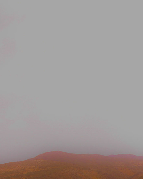 svzannebrown:glitchglitchglitchstormin in syria c:Just sold this puppy to a collector and am over th