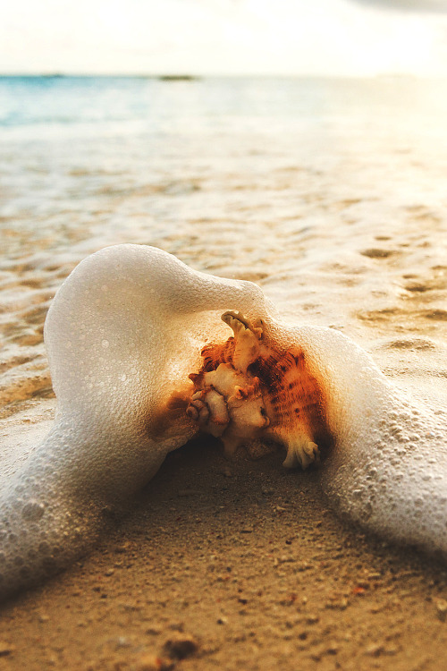 lmmortalgod:  Zanzibar Beach