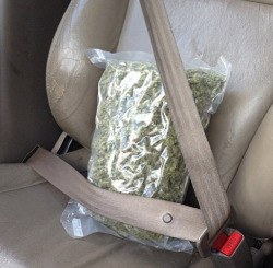 reckless-stoner:  Safety first. 