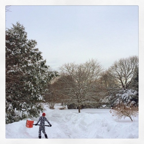 Snow removal team in pjs and no coat. #ctwinter