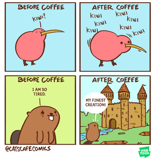 catscafecomics: kiwi kiwi kiwi kiwi kiwi kiwi kiwi kiwi kiwi kiwi kiwi kiwi kiwi kiwi