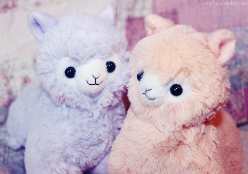 barbiejunko:  barbiekarkat:  I’ve always wanted to do a giveaway so i’m now doing