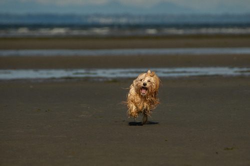 And the final series from Lewis beach adventure. These faces he&rsquo;s making here are too funny n