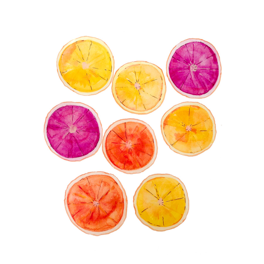 alostfeather:  orange slices / watercolor