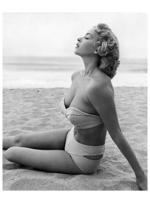 Eve Meyer